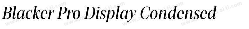 Blacker Pro Display Condensed Trial字体转换